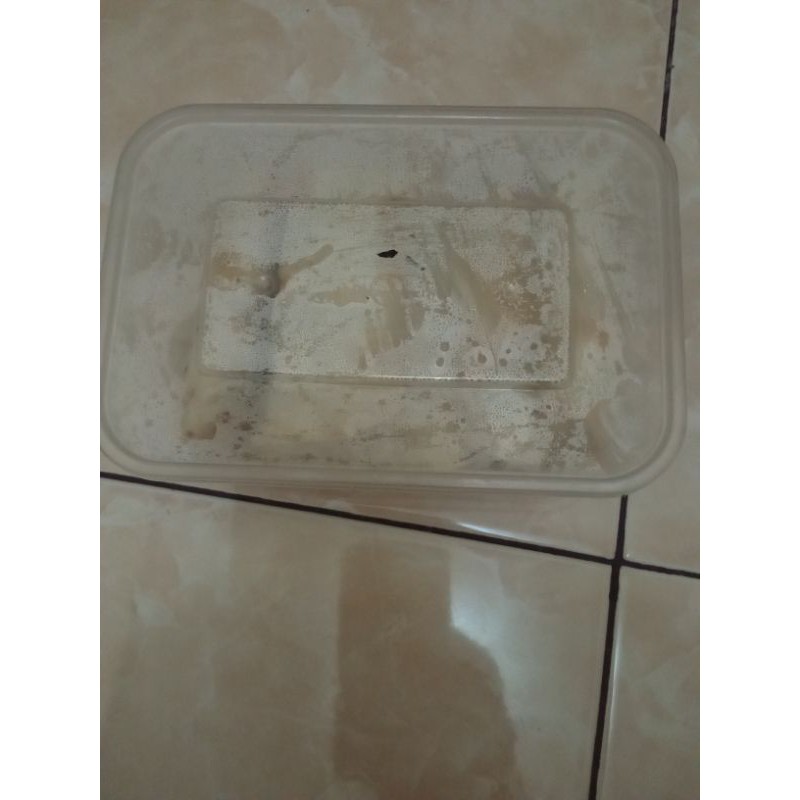 

frozen KEBAB teriyaki ISI 10
