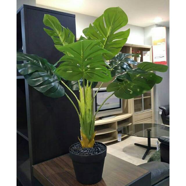 Monstera artificial (bukan tanaman hidup) Informa