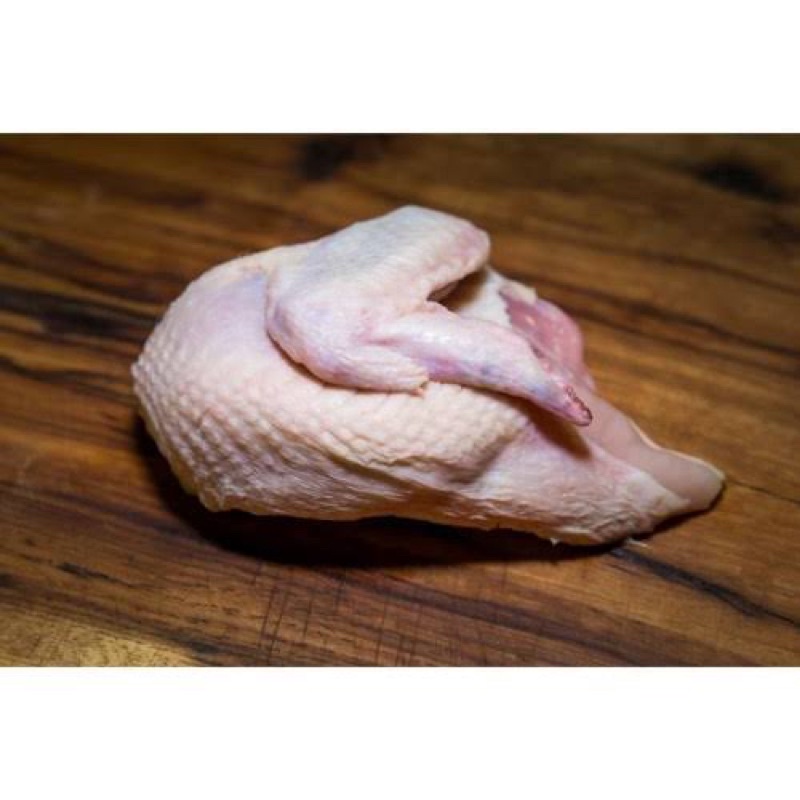

Murah Dada Ayam Segar