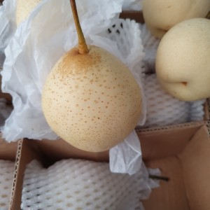 

Pir Yali Fresh