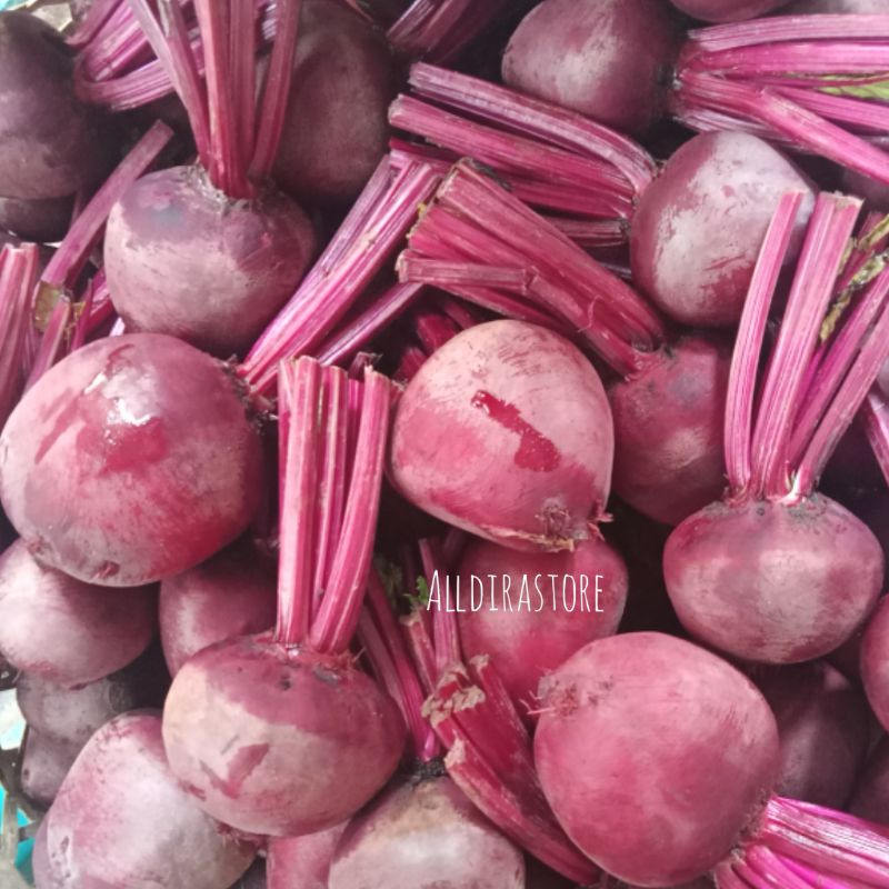

Buah Bit Fresh Kualitas Super 1Kg