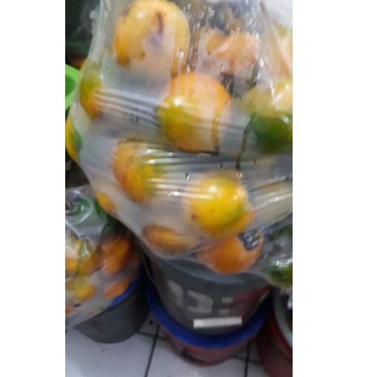 

35 ✯ TERONG ASAM KALIMANTAN / TERONG DAYAK ➧➜ (Grosir)