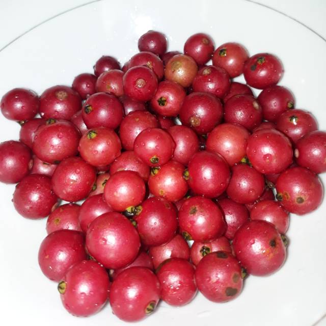 maolanamalik14158