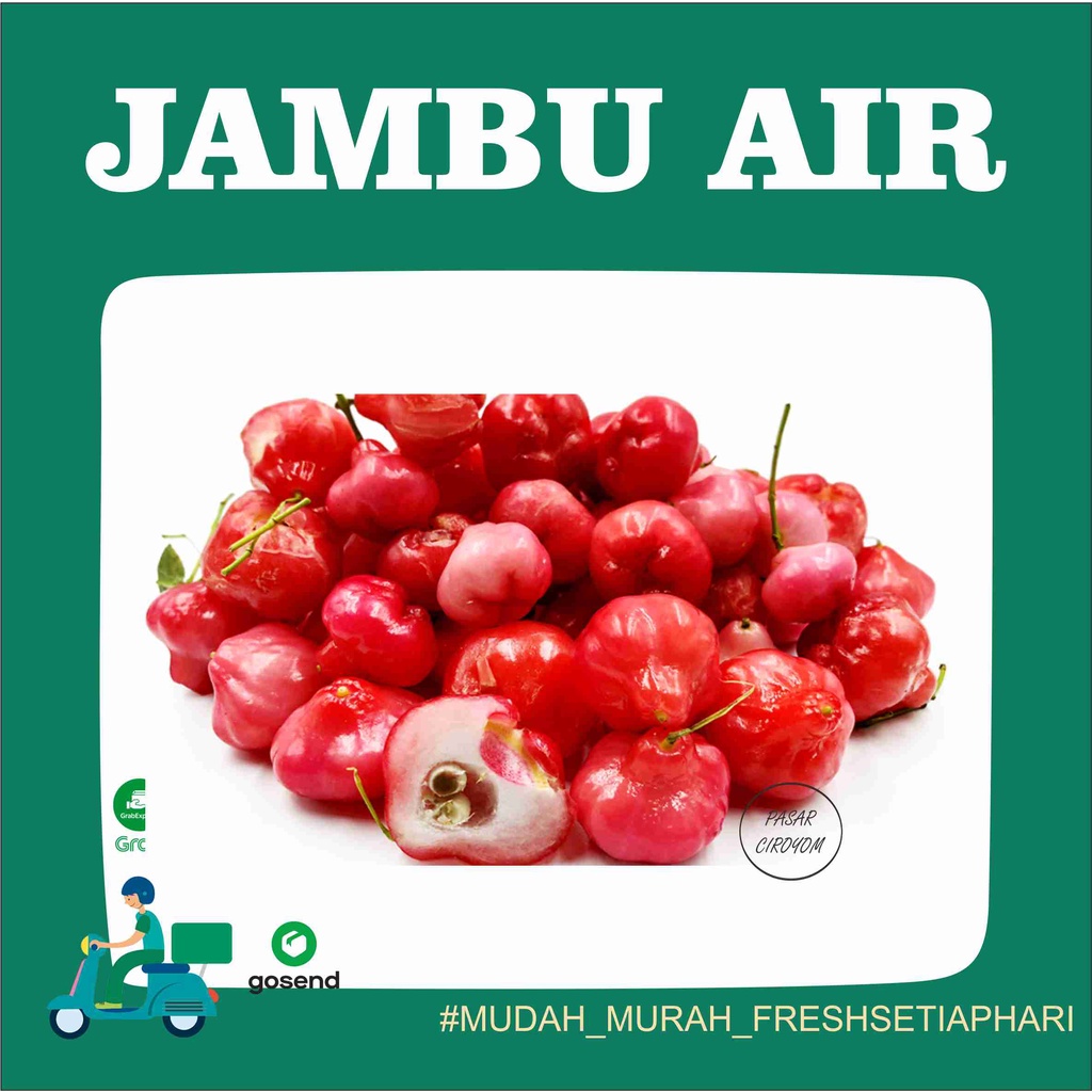 

JAMBU AIR/JAMBU RUJAK FRESH MURAH BANDUNG 505g