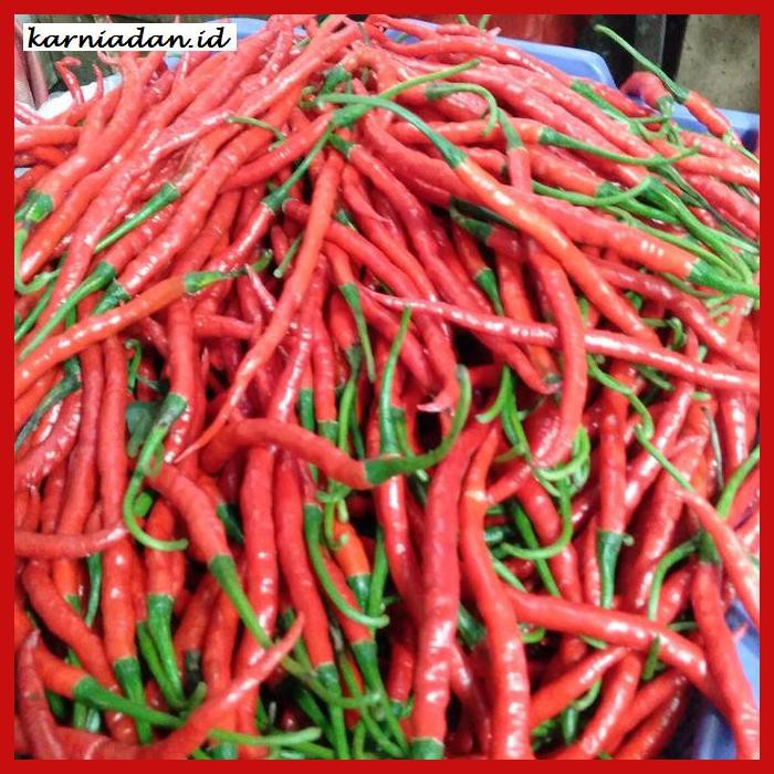 

Aneka-Sambal- Cabe Merah Keriting Super 250Gr -Pedeeeeeezzzzzzz.