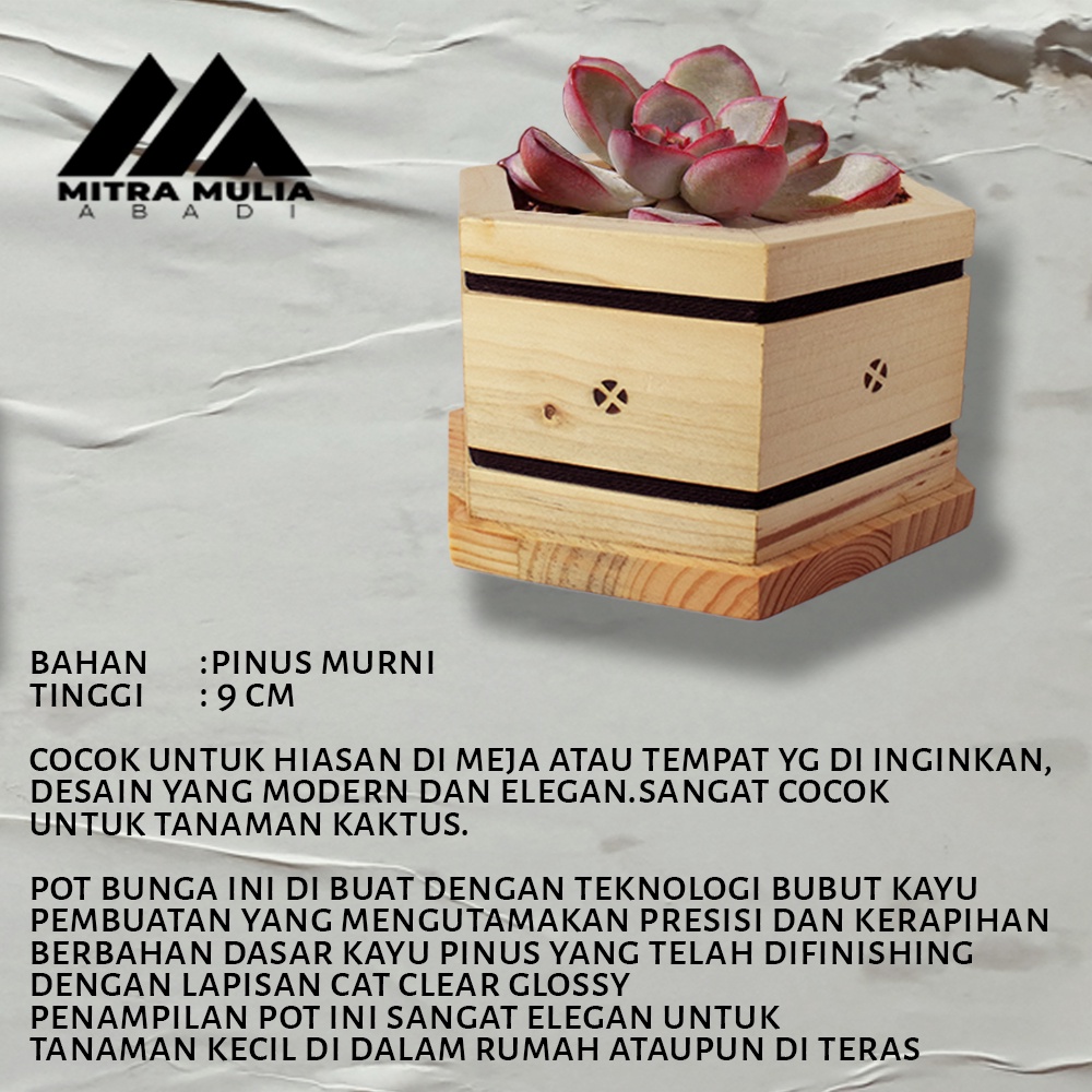 Pot vast Bunga hexagonal Kayu Pinus warna Cream | vast bunga mini