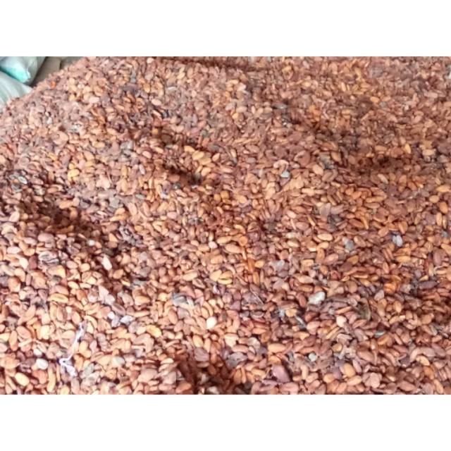 

COKLAT/KAKAO
