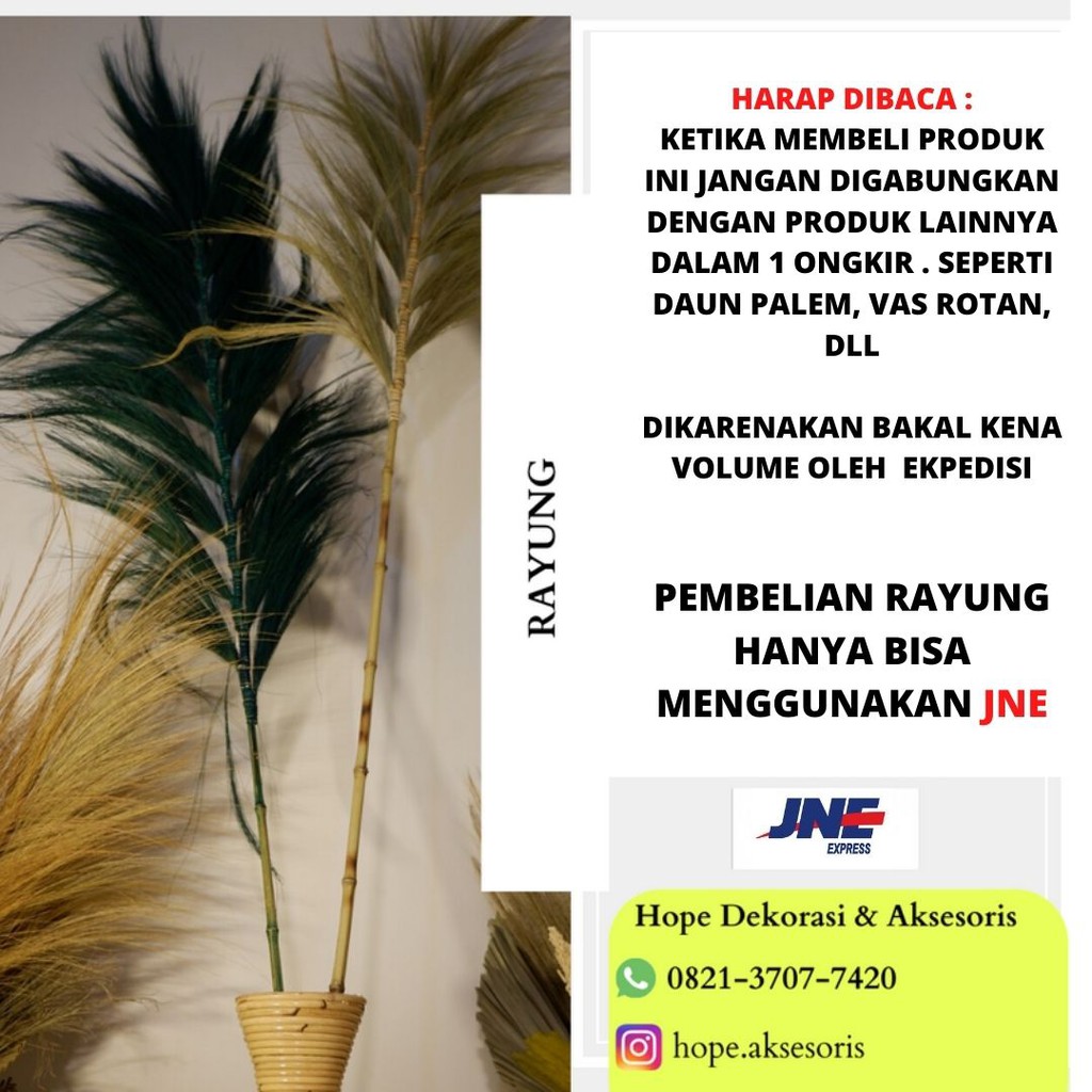 HOME DECOR RAYUNG  KERING PANJANG COCOK UNTUK PHOTO STUDIO 