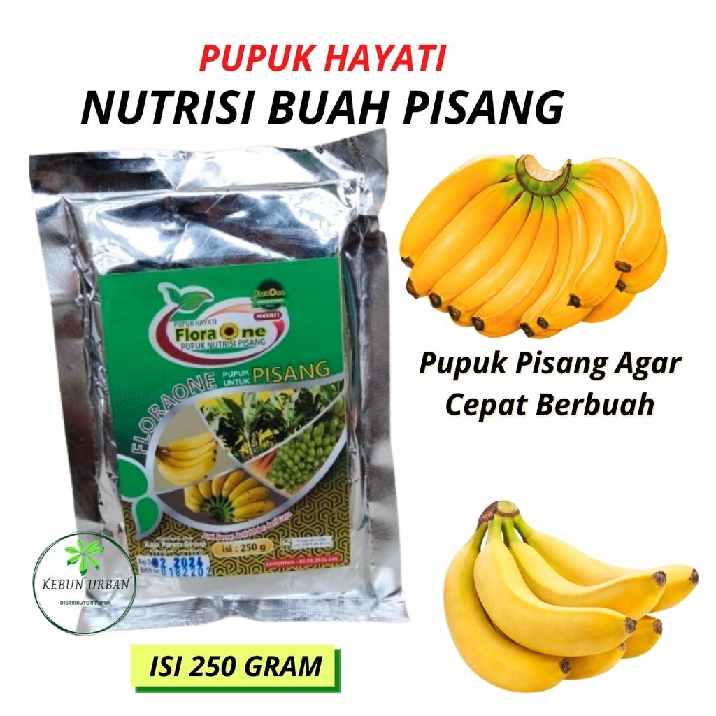 Booster Hayati, Flora One PISANG, Pupuk Pisang Ambon, Fungisida Layu Fusarium Pisang, 250 Gr