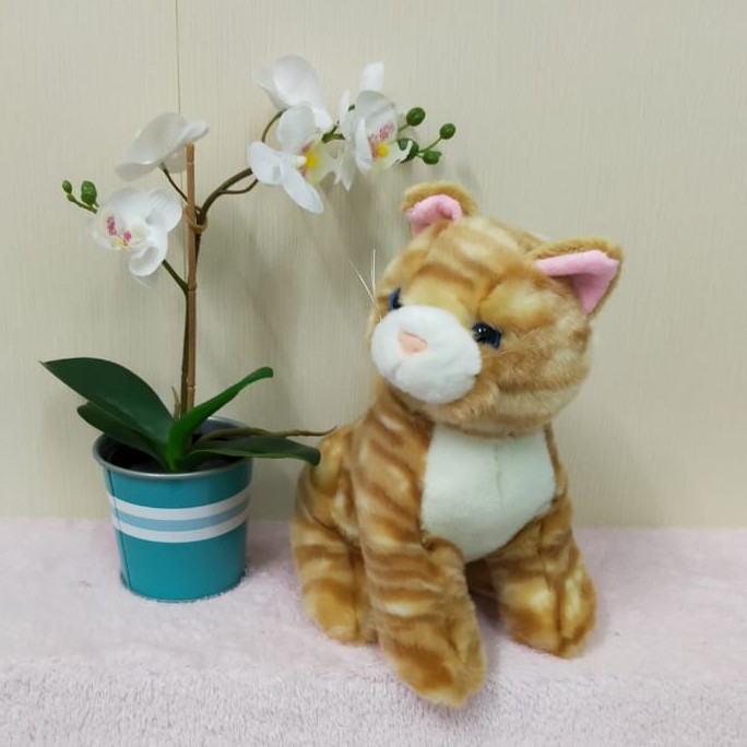 Boneka Cute Cat  S/boneka animal Kucing