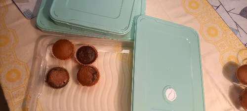 Food Container Tempat Wadah Gorengan Ada Tutup Kotak Penyimpanan Makanan Plastik Kontainer Kulkas