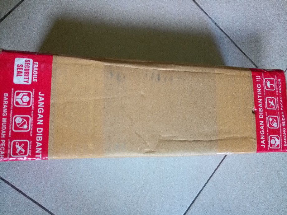 Tanaman Hias Peperomia Varigata