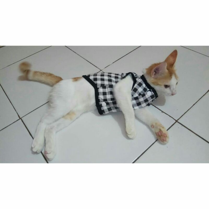 Baju kucing cowo &quot;basic&quot;