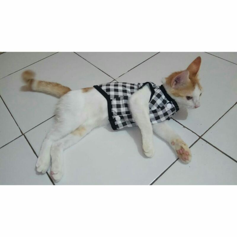 Baju kucing cowo &quot;basic&quot;