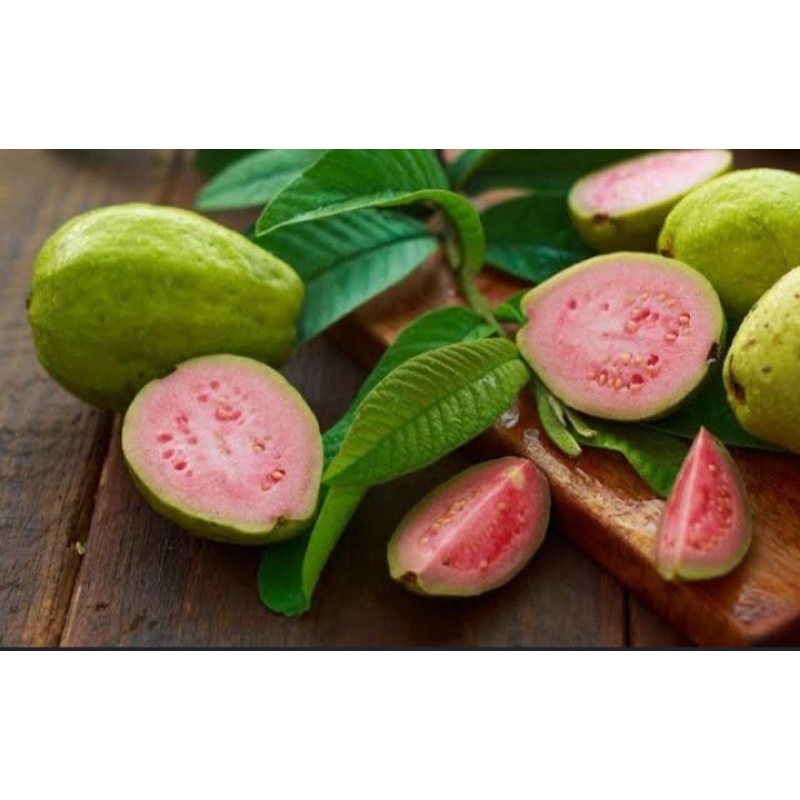 

Jambu Biji Merah Manis