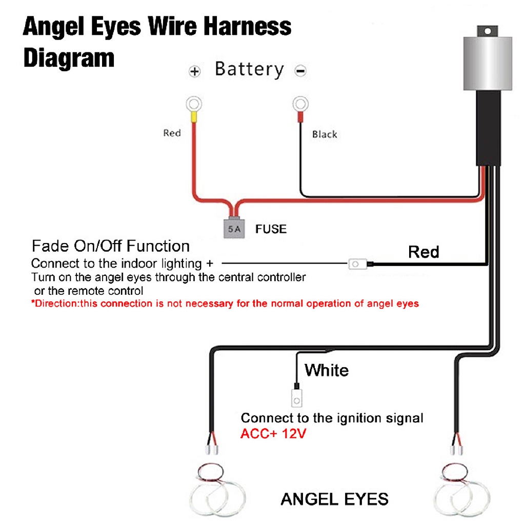 Bmw Angel Eye Wiring Diagram Wiring Diagram Page Chin Wait Chin Wait Faishoppingconsvitol It