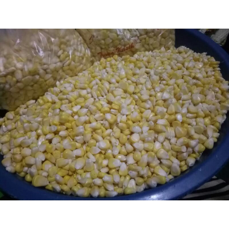 JAGUNG PIPIL MANIS FRESH / JASUKE