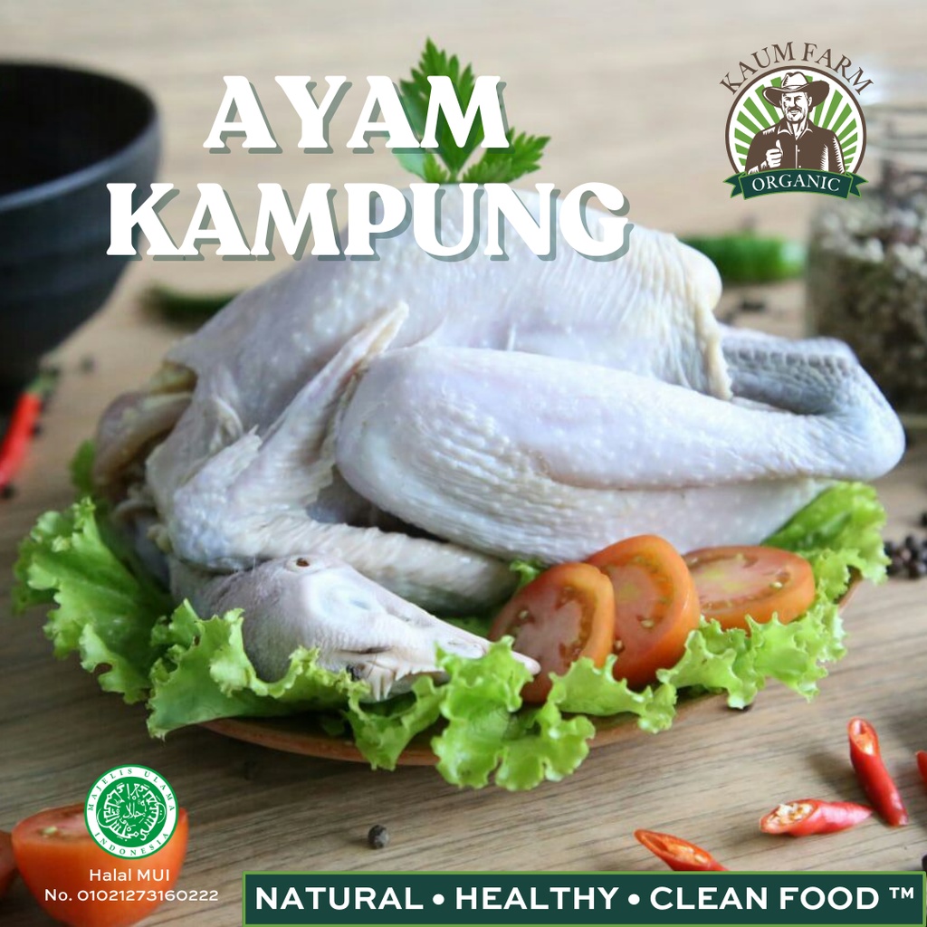 

Ayam Kampung Asli 700-800gr