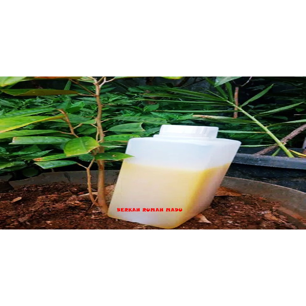 

MADU/ MADU ASLI/ MADU MURNI/ MADU KALIANDRA/ MADU HUTAN/ MADU HUTAN ASLI/ MADU 100%/ MADU SEHAT