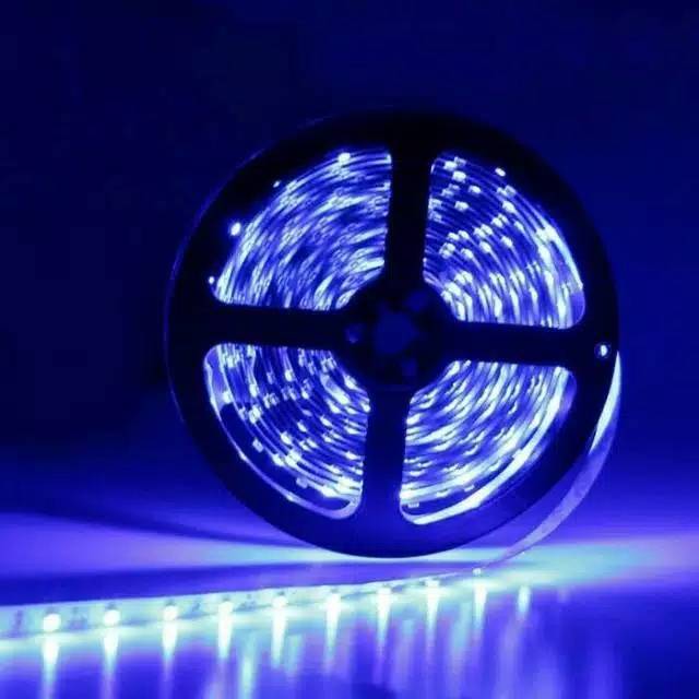 (INDO 168)Led 24 Volt 5 meter Led strip Truk Bis mata 5050