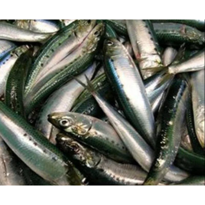 

Ikan Sarden Per 500 Gr Sayur Segar Palembang