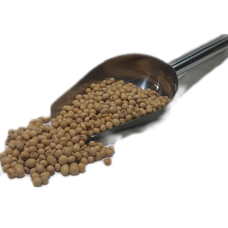 

kacang kedelai 250g