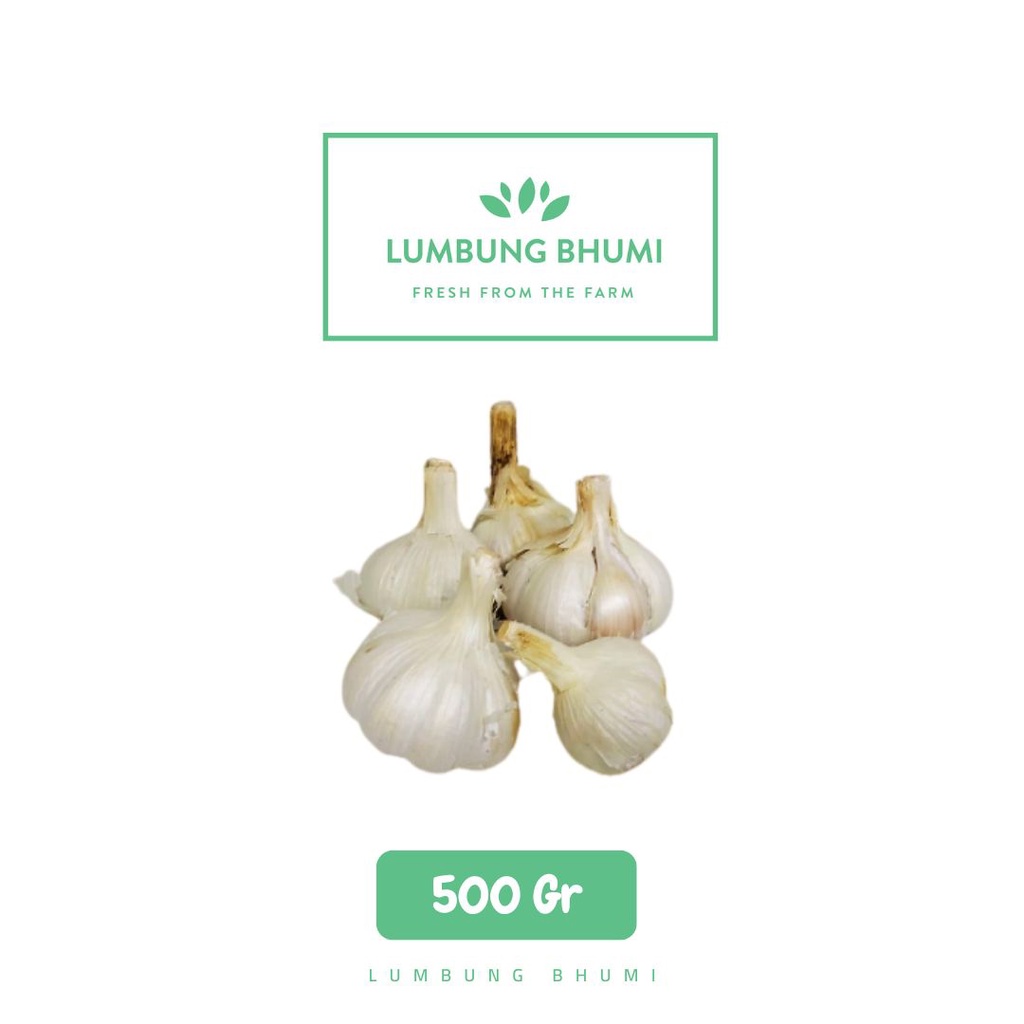 

Lumbung Bhumi - Bawang Kating KULIT 500 Gr ( Sayur Curah )