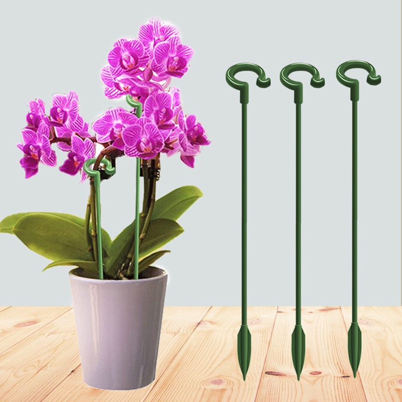 10pcs Perdu Holder Phalaenopsis Anti Rontok Bunga Pot Mendukung Bentuk Tanaman Bracket Taman Bunga Single Untuk Indoor Outdoor Stem