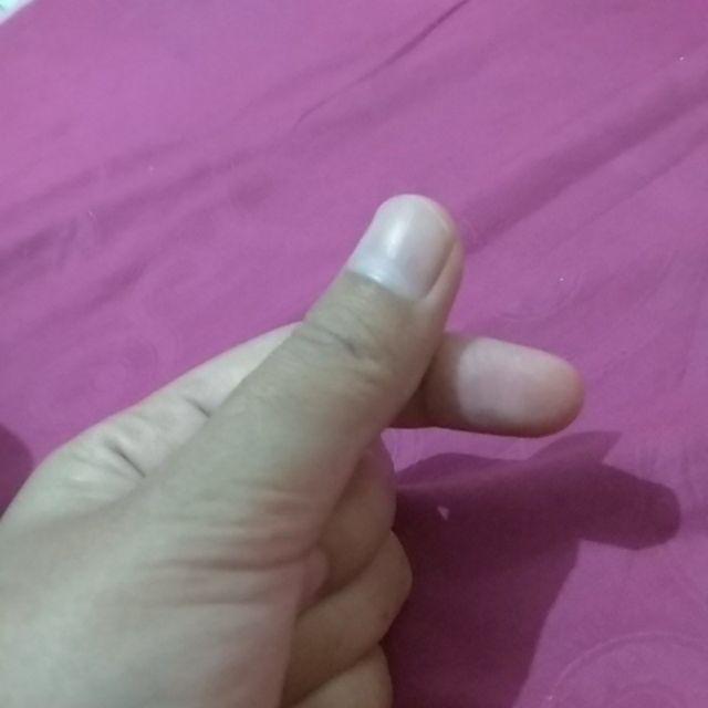 Ready Tasco Sprayer 5 Liter