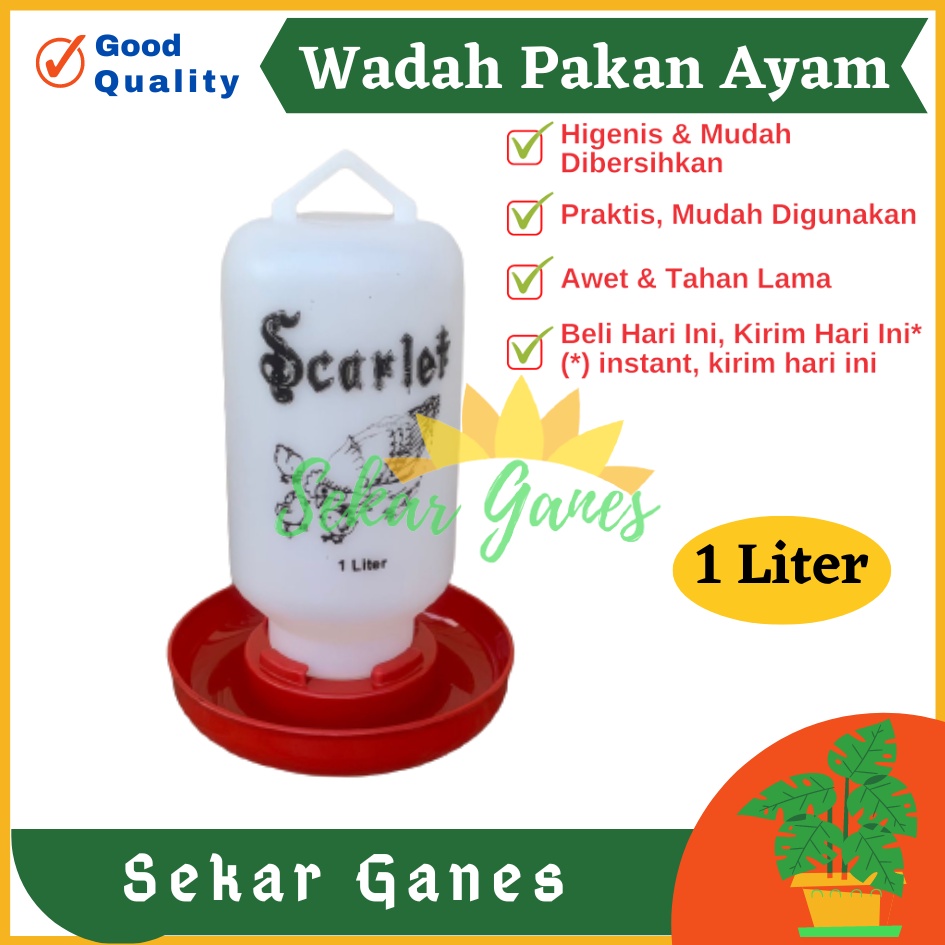 Tempat Makan Ayam Kapasitas 1 Liter 1 Kg SCARLET Wadah Pakan Ayam Anti Tumpah Ransum Wadah Makan Ayam Anakan Plastik 1 Kg - TEMPAT MAKAN AYAM / RANSUM / TRA1K MEDION KAPASITAS 1KG WADAH PAKAN AYAM TERMURAH BAHAN PLASTIK BAGUS