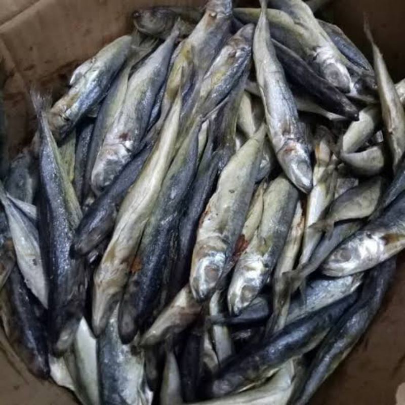 

Ikan Asin Layang kecil /Klotok/Rincek 100 gram