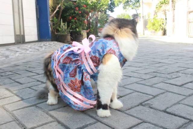 Dress batik biru bunga merah / dress kondangan lucu untuk kucing / baju kucing murah size S M L XL