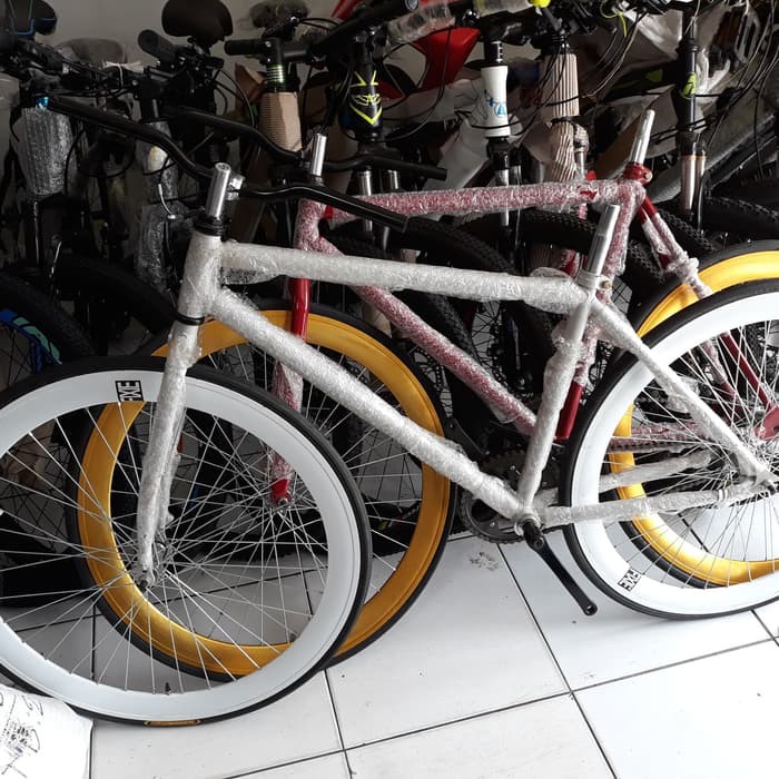 fixie evergreen