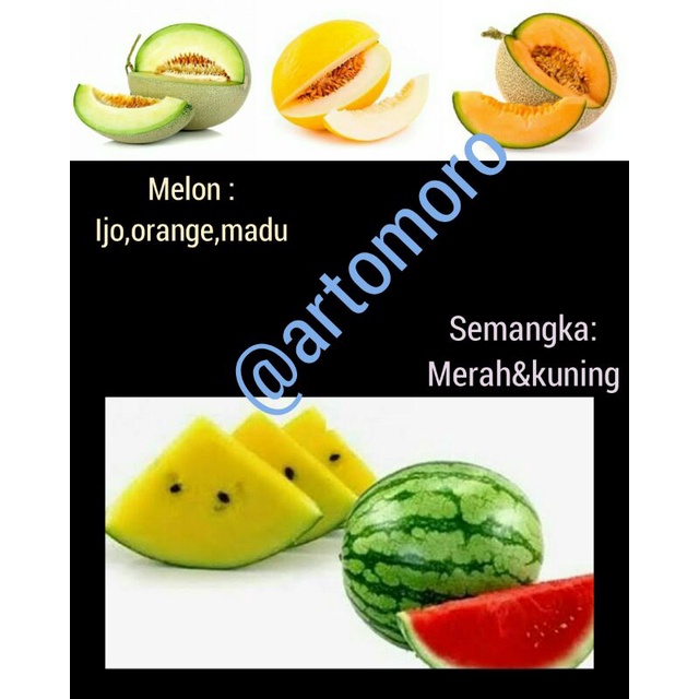 

Buah semangka, Melon madu & Melon (merah,kuning,orange,hijau)