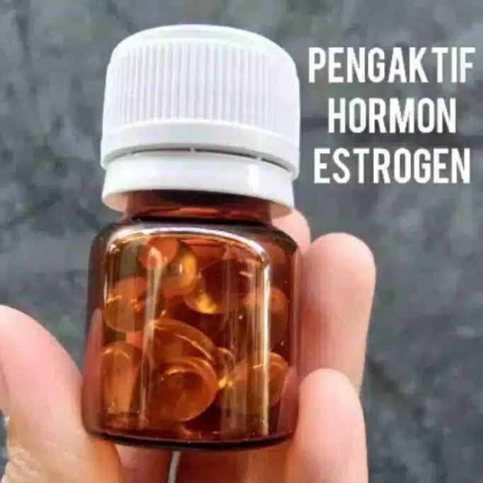 ESTROGEN PENGAKTIF HORMON ORI