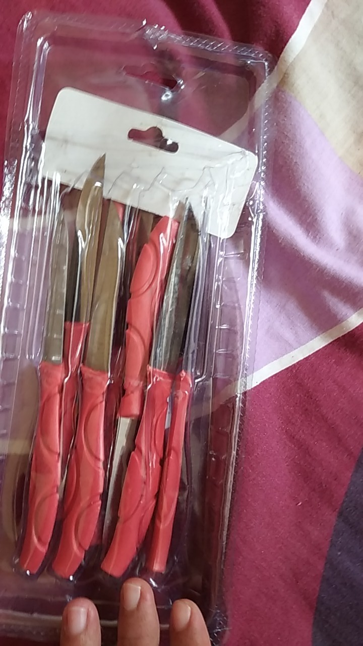 Pisau Buah Stainless Set Isi 12 Pcs Pisau Dapur Mini Pisau