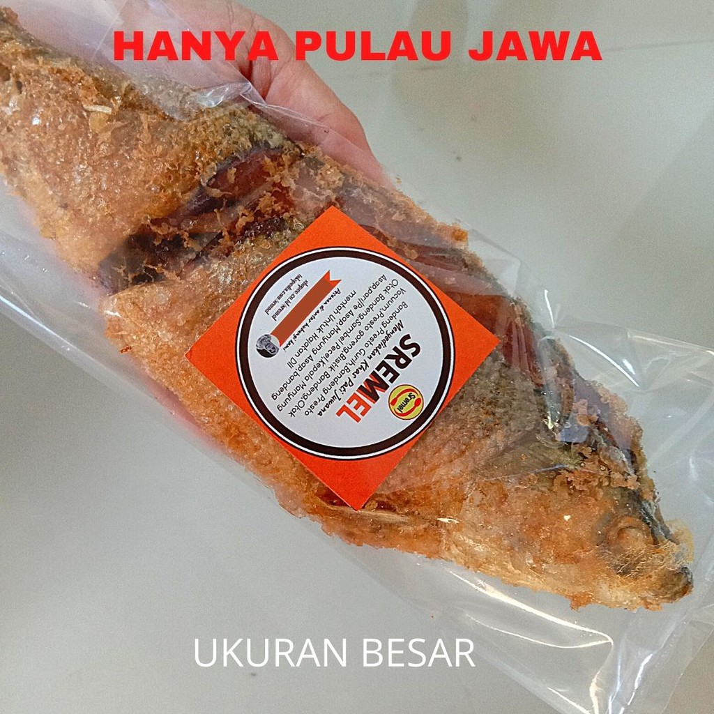 Bandeng Presto Juwana Isi 1 Goreng