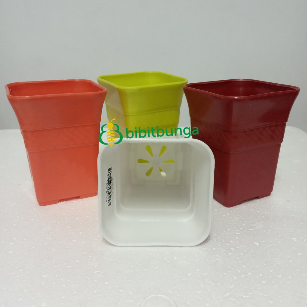 Pot Kotak Batik Plastik NKT Warna 8cm Vas Kaktus Meja Bonsai Mini Unik