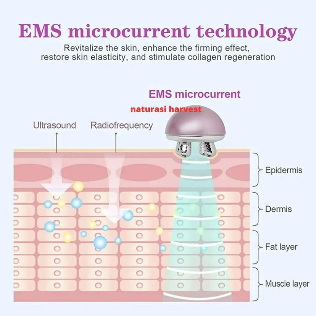 EMS alat pijat pengencang kulit wajah elektrik portable regenerasi colagen kolagen muka