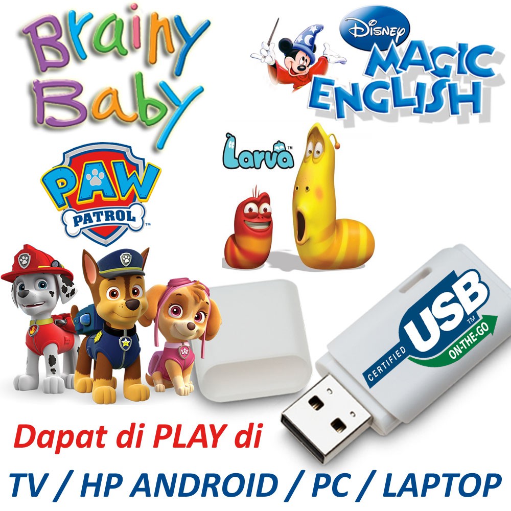USB OTG - Brainy Baby, Larva, Paw Patrol, Disney Magic English