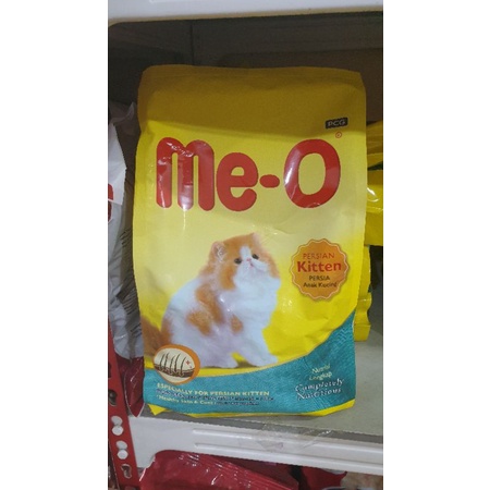 MEO KITTEN PERSIAN