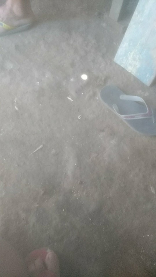 Banuaji Kemeja Batik Pria Lengan Panjang Full Furing Bahan Katun Halus Sragenan