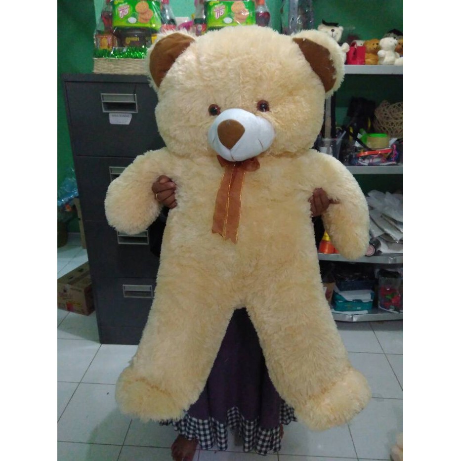 Big bear / boneka teddy bear jumbo / boneka beruang besar