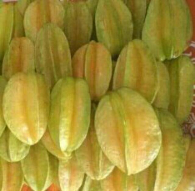 

Buah Belimbing super 1 kg fresh