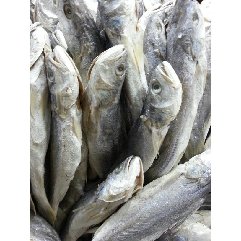 

Ikan samge asin 1kg