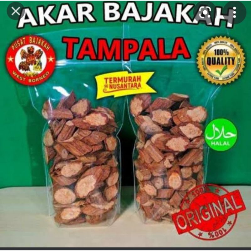 

Bajakah Tempala Merah super 1 kg
