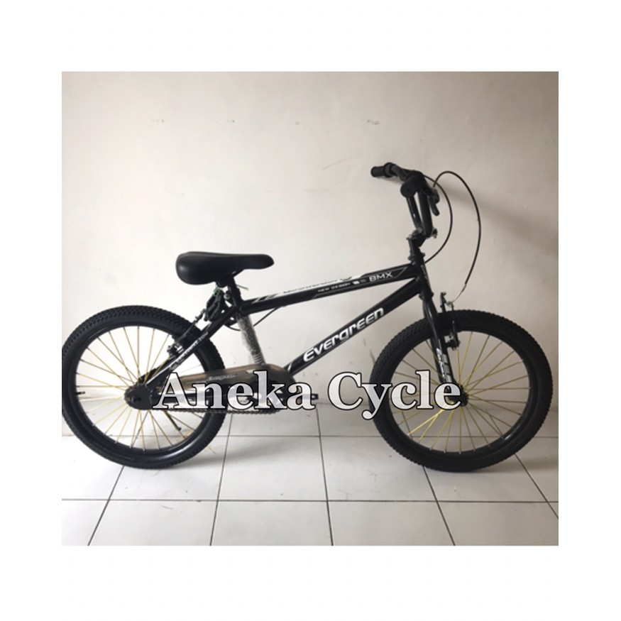 sepeda anak bmx evergreen 20.