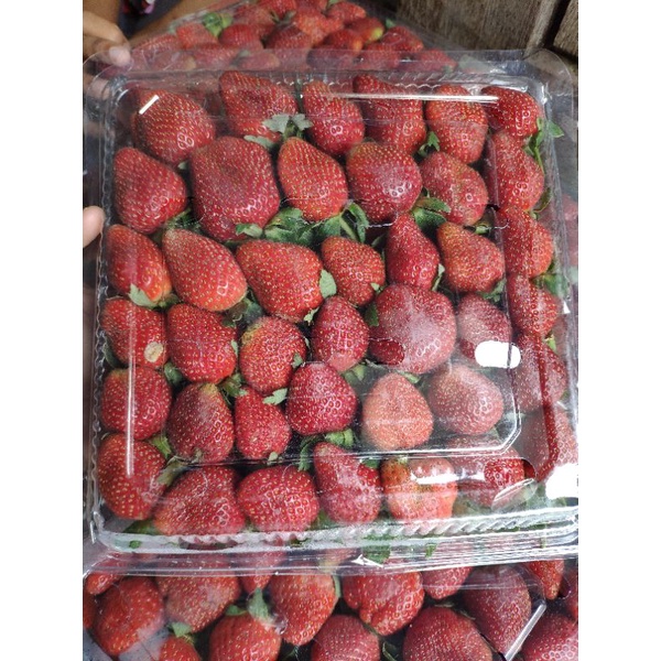 

Strawberry Frozen kemasan 1kg/Strawbery Frozen IMPORT