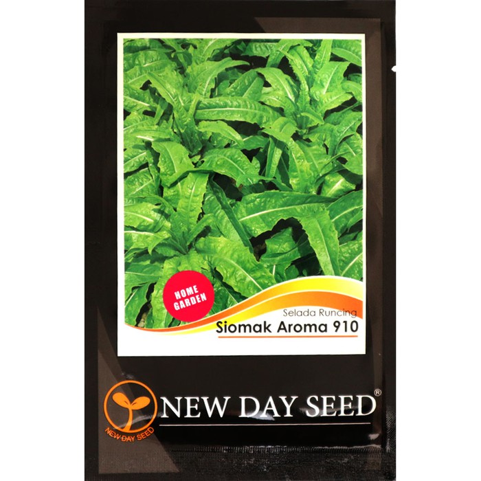 Benih Selada Siomak - Aroma 910 (New Day Seed)