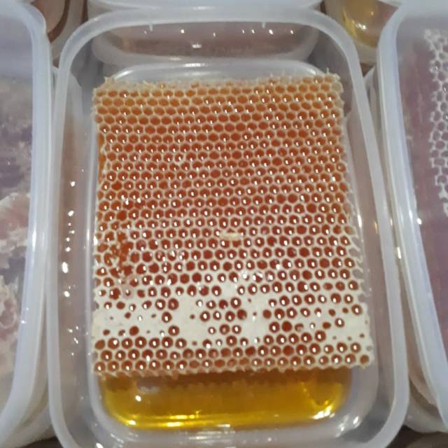 

Sarang madu melifera asli.100%